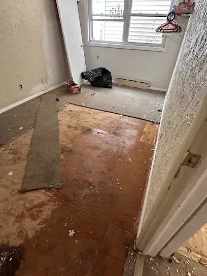Subfloor cleared after a water loss in a Rockingham County home