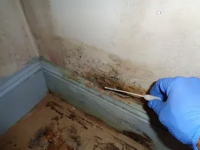 A corner treated after wicking water in a Rockingham County home