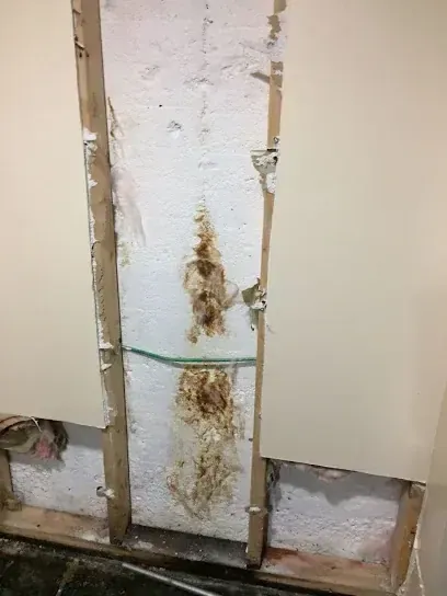 Opened wall and a burst supply line in a Madison home