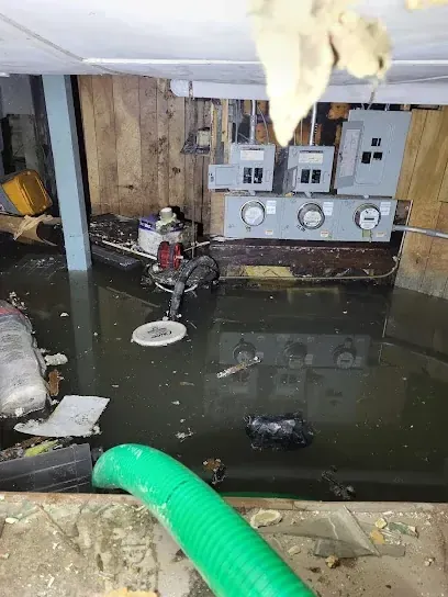 Category 3 black water backup in a Madison lower level