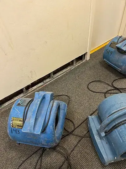 Air movers and dehumidifiers drying a Madison room